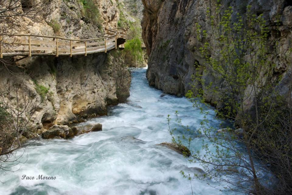 Alojamiento Rural, Cueva De La Abuela Cuevas del Campo Dış mekan fotoğraf