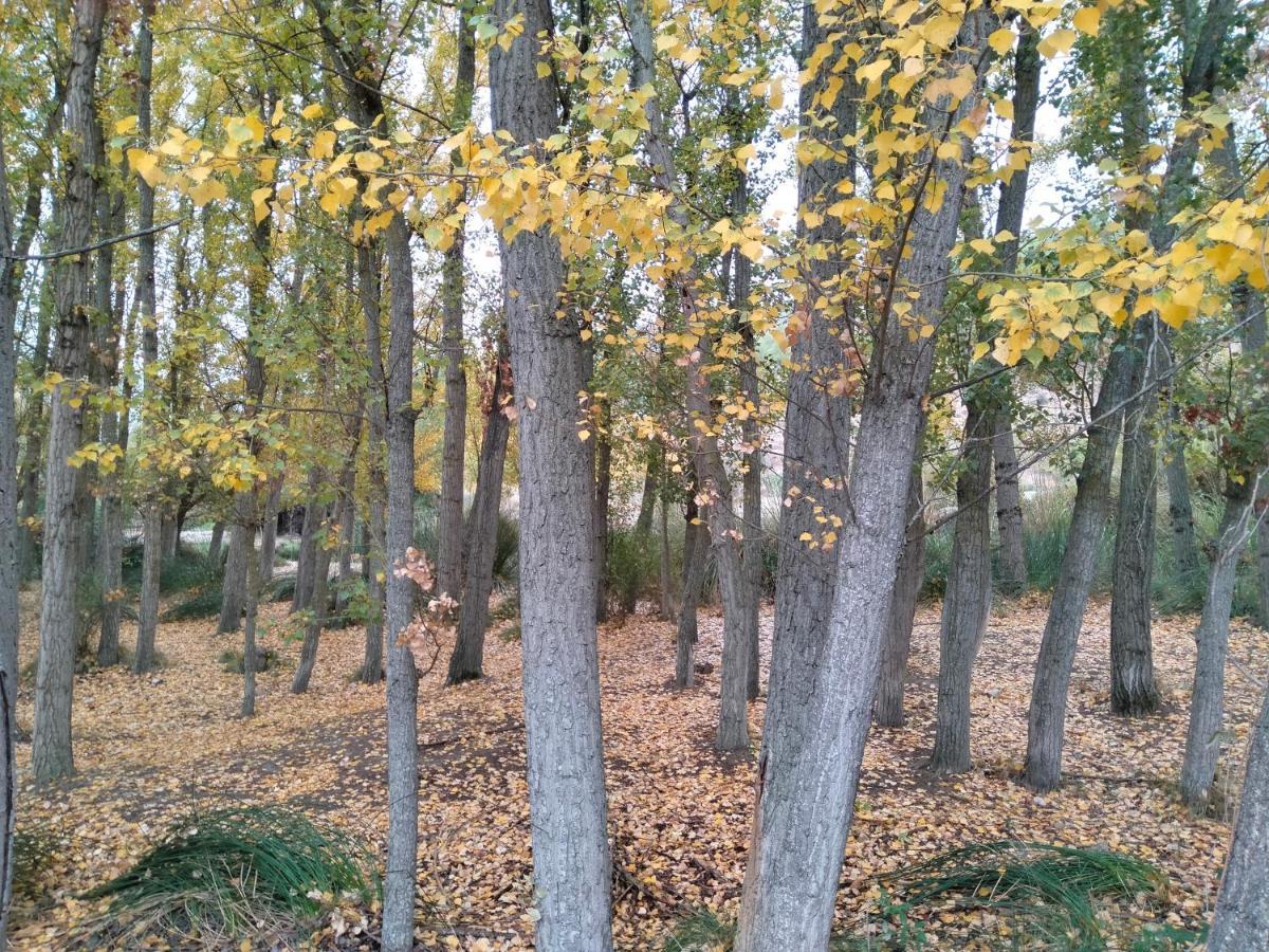 Alojamiento Rural, Cueva De La Abuela Cuevas del Campo Dış mekan fotoğraf