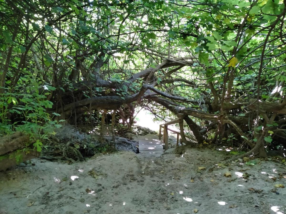 Alojamiento Rural, Cueva De La Abuela Cuevas del Campo Dış mekan fotoğraf